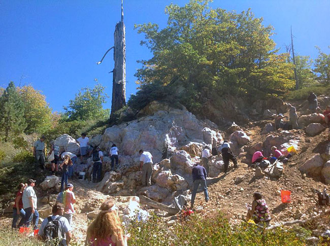 Busy bees collecting quartz.