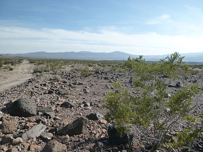 Mojave Desert floor at Lavic Siding.