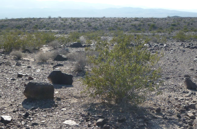 Large wash running through the collecting area.