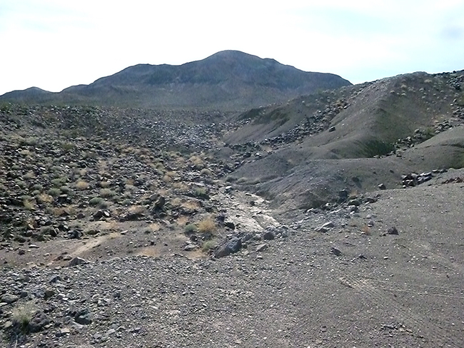 View up into the creek bed where we collected the Plasma Agate.