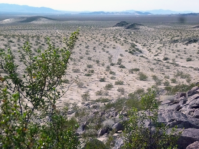 View from atop the Plume Agate collecting area.