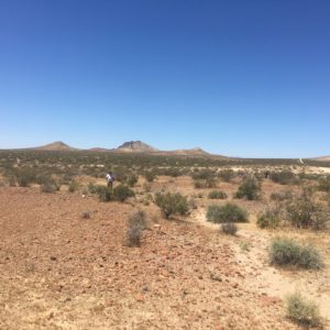 Castle Butte Area